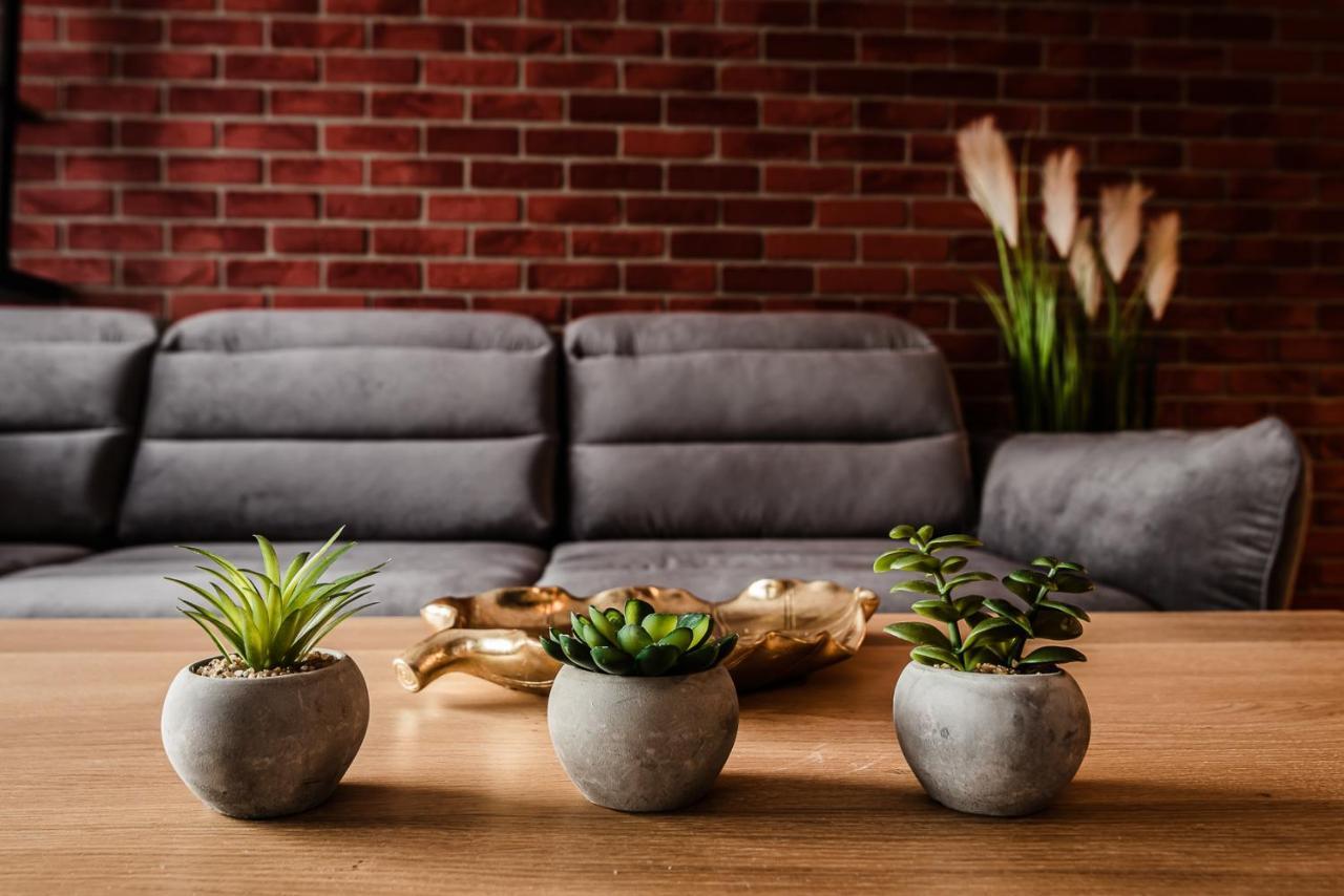 Loft Apartament Aleje Wolnosci 新松奇 外观 照片